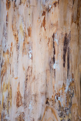 Similar image 11174625