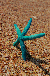 Similar image 11131639