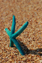 Similar image 11131645