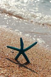 Similar image 11131647