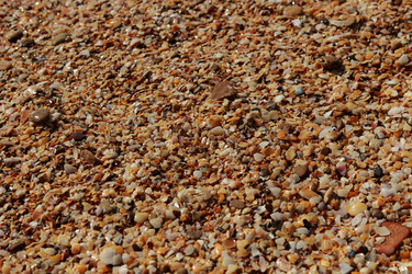 Similar image 11134282