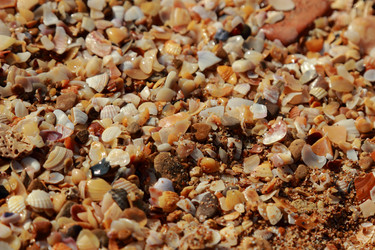 Similar image 11134314