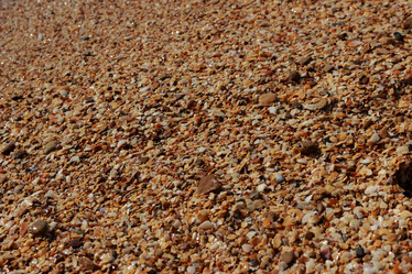 Similar image 11134345