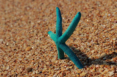 Similar image 11134347