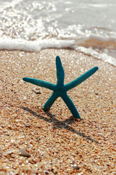 Similar image 11134370