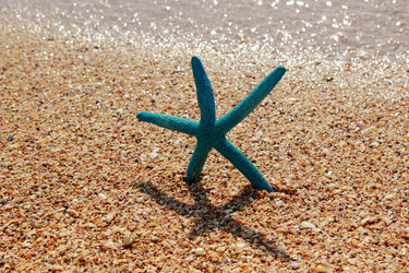 Similar image 11134387