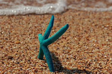 Similar image 11134402