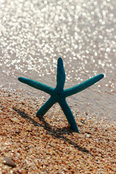 Similar image 11134403