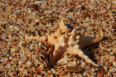 Similar image 11123769