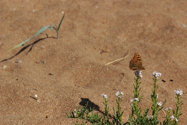 Similar image 11123773