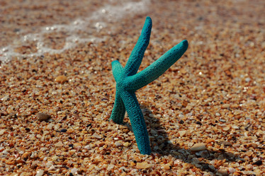 Similar image 11123988