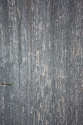 Similar image 11171762