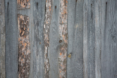 Similar image 11171764