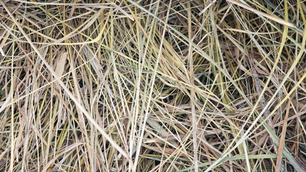 Similar image 11171773