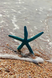 Similar image 11125937