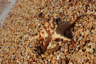 Similar image 11126262