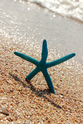 Similar image 11126267