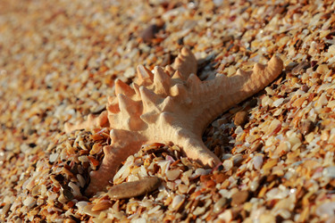 Similar image 11126627