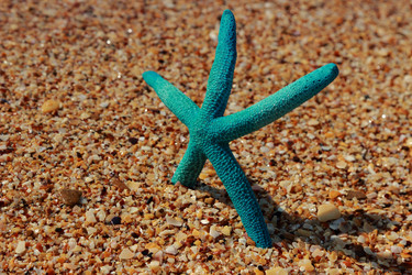 Similar image 11126630