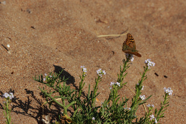 Similar image 11126633