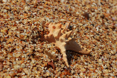 Similar image 11127092