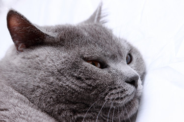 Similar image 11127208