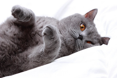 Similar image 11127210