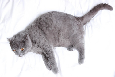 Similar image 11127213