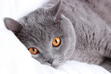 Similar image 11127367