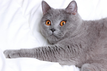 Similar image 11127369