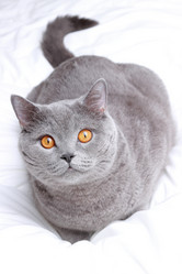 Similar image 11127370