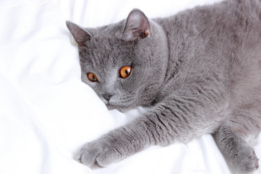 Similar image 11127372