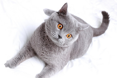 Similar image 11127373