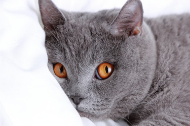 Similar image 11127404