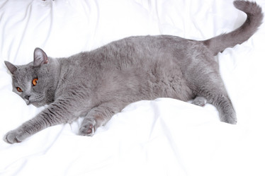 Similar image 11127411