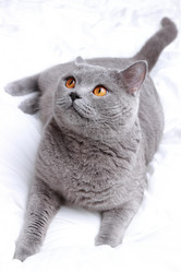 Similar image 11127414