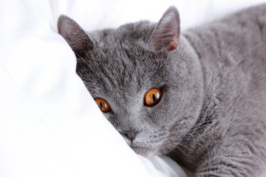 Similar image 11127417