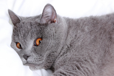 Similar image 11127423