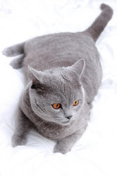 Similar image 11127682