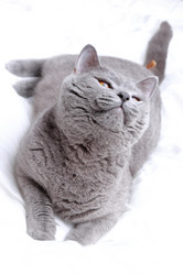 Similar image 11127688