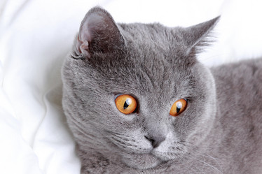 Similar image 11127690