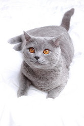 Similar image 11127693