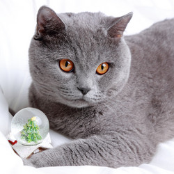 Similar image 11127916