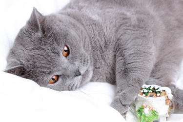 Similar image 11127968