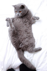 Similar image 11128786