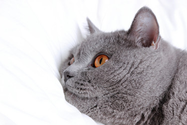 Similar image 11128829