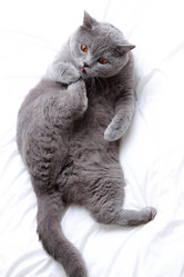 Similar image 11128834