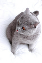 Similar image 11128887