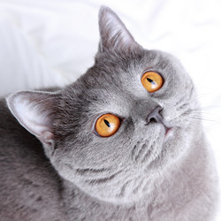 Similar image 11128889