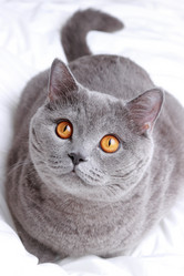 Similar image 11128923